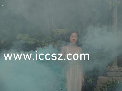 国产中文字幕不卡在线,国产中文字幕不卡在线解析